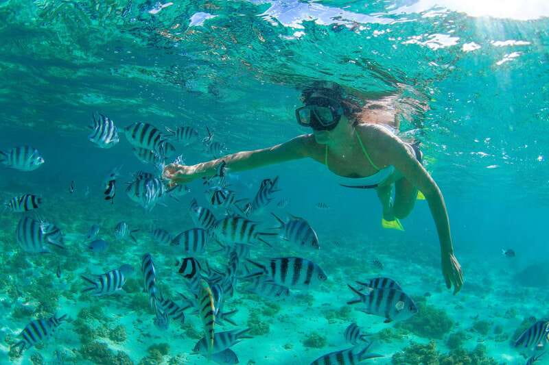 Cabo San Lucas: Cabo Pulmo Snorkeling Expedition - Expert Guides and Small Group Atmosphere