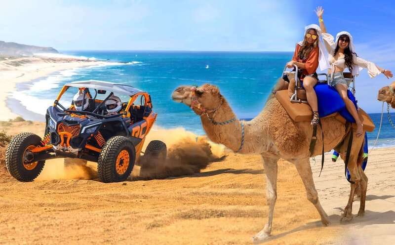 Cabo San Lucas: Camel Ride & Off-Road UTV Combo Adventure - Transportation and Logistics Details
