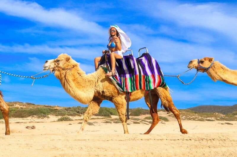 Cabo San Lucas: Camel Ride & Off-Road UTV Combo Adventure - Frequently Asked Questions