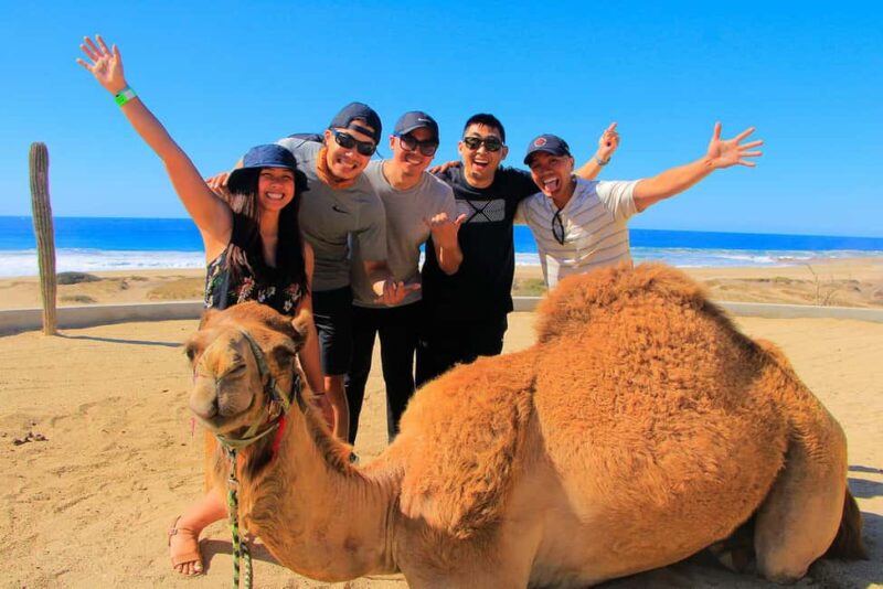 Cabo San Lucas: Camel Ride on the Beach - The Camel Ride Along Baja’s Desert and Beach