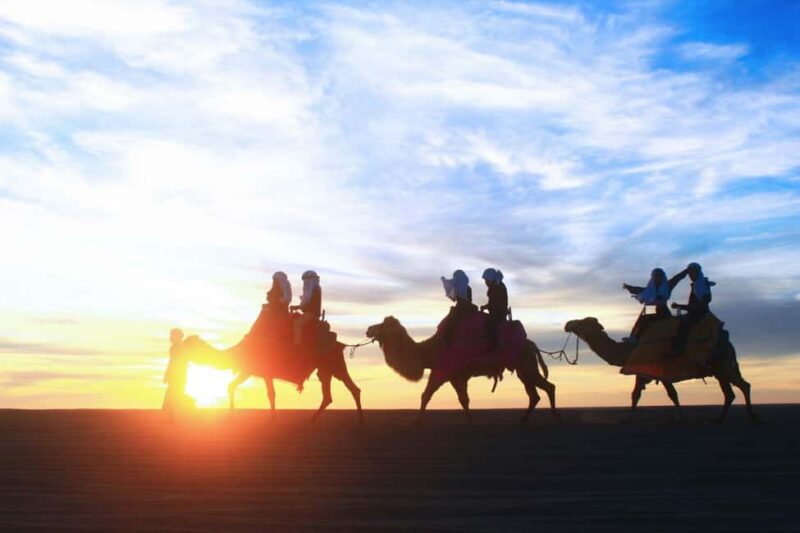 Cabo San Lucas: Camel Ride on the Beach - Authentic Mexican Cuisine and Tequila Tasting