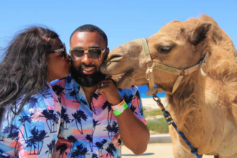 Cabo San Lucas: Camel Ride on the Beach - Practical Details: Scheduling, Duration, and Group Size