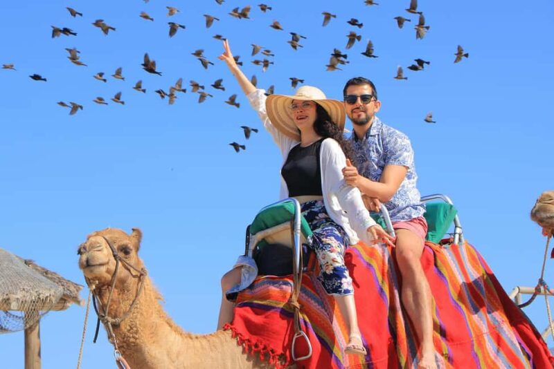 Cabo San Lucas: Camel Ride on the Beach - Limitations and Considerations for the Tour