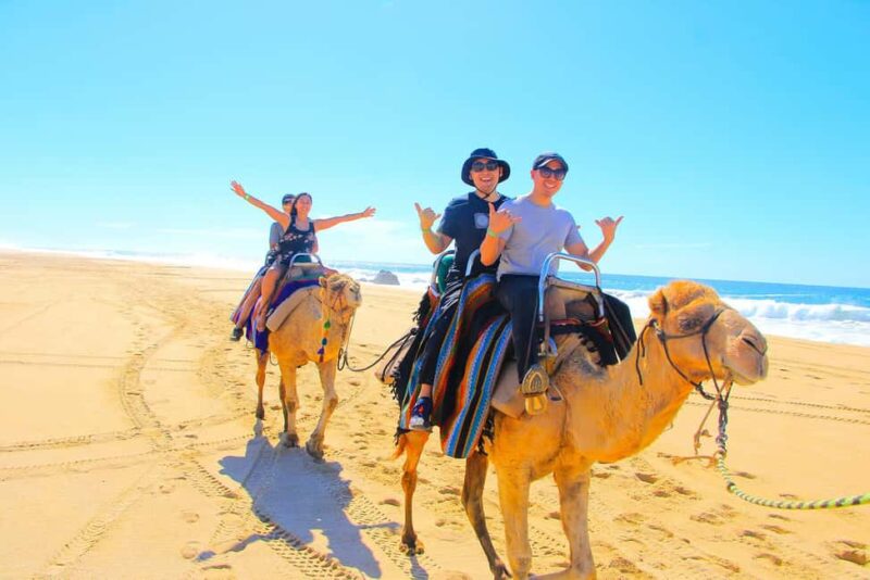Cabo San Lucas: Camel Ride on the Beach - Who Will Enjoy This Experience Most?