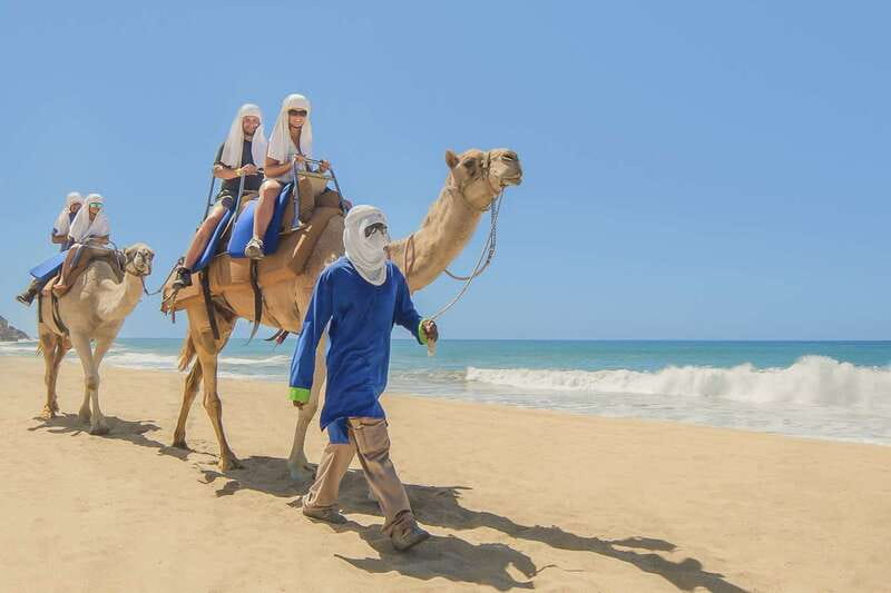 Cabo San Lucas: Camel Safari Tour with Lunch and Tequila - Camel Ride Along a Secluded Beach with Ocean Views