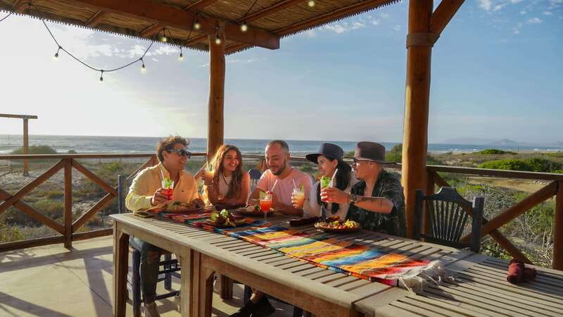 Cabo San Lucas: Camel Safari Tour with Lunch and Tequila - Desert Scenery and Flora During the Short Hike