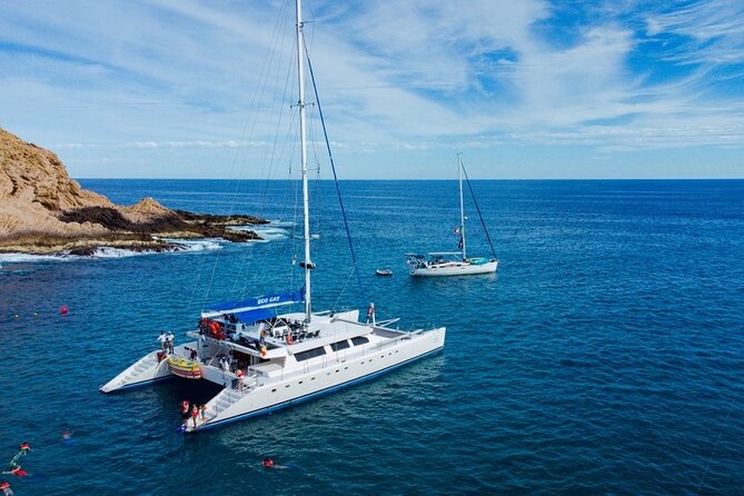 Cabo San Lucas Catamaran: Snorkel, Open Bar & Scenic Cruise - Snorkeling at Pelican Rock: Underwater Highlights