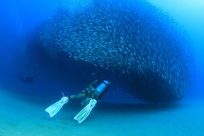 Cabo San Lucas Certified 2 Tank Dive at the Famous Arch and Land's End - Ease of Logistics and Group Experience