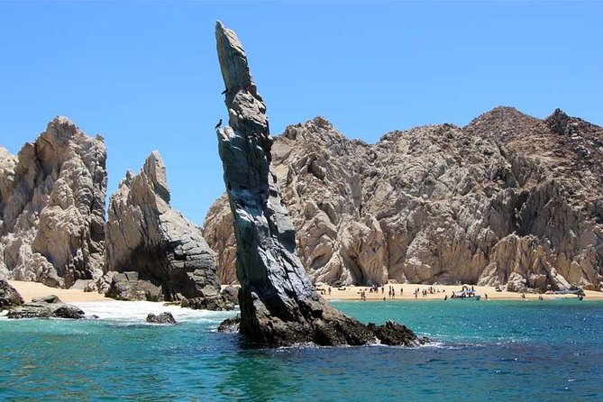 Cabo San Lucas city tour and amazing sea adventure to Lands End! - Discover Cabo San Lucas with a 2-3 Hour Coastal and Sea Adventure
