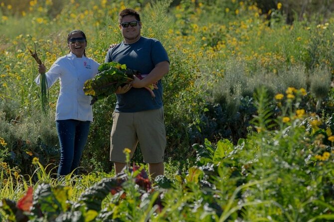 Cabo San Lucas Cooking Classes by Chef Ari - The Setting: Chef Ari’s Oceanfront Home in Cabo San Lucas