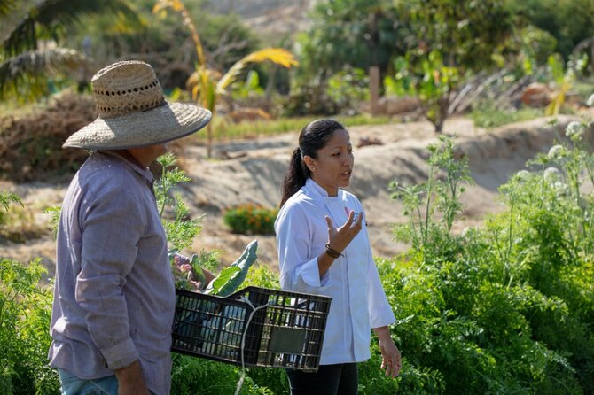Cabo San Lucas Cooking Classes by Chef Ari - Optional Margaritas and Customizations