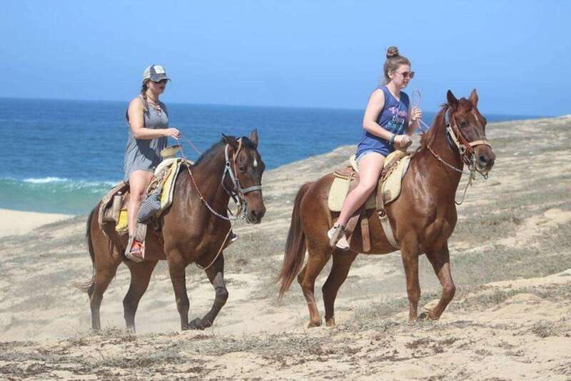 Cabo San Lucas: Desert ATV & Beach Horseback Combo - Wildlife Sightings and Seasonal Marine Life
