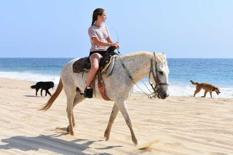 Cabo San Lucas: Desert ATV & Beach Horseback Combo - Practical Details: Transportation, Equipment, and Fees
