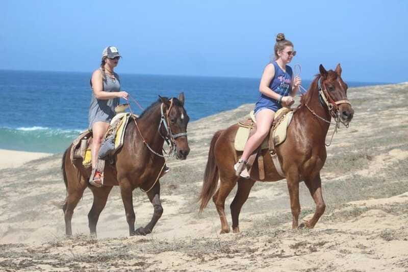 Cabo San Lucas: Desert ATV & Beach Horseback Combo - Logistics and Booking Flexibility