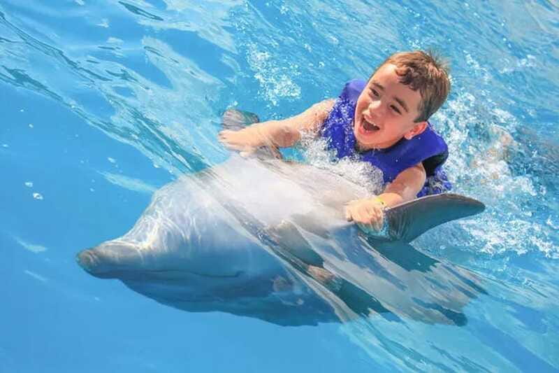 Cabo San Lucas: Dolphin Swim Class with Marine Specialist - Logistics and Booking Flexibility
