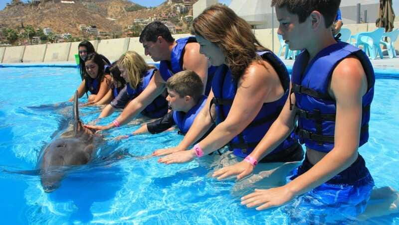 Cabo San Lucas: Dolphin Swim Class with Marine Specialist - Accessibility and Suitability Considerations