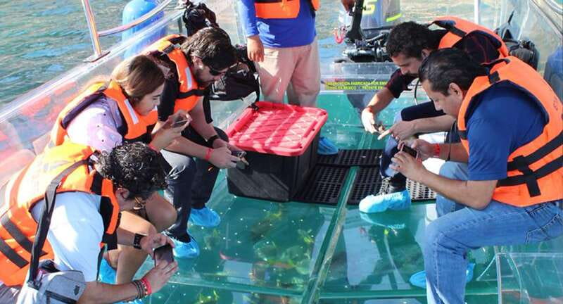 Cabo San Lucas: Glass-Bottom Boat Cruise and Tequila Tasting - Discover the Unique Glass-Bottom Boat Experience in Cabo San Lucas