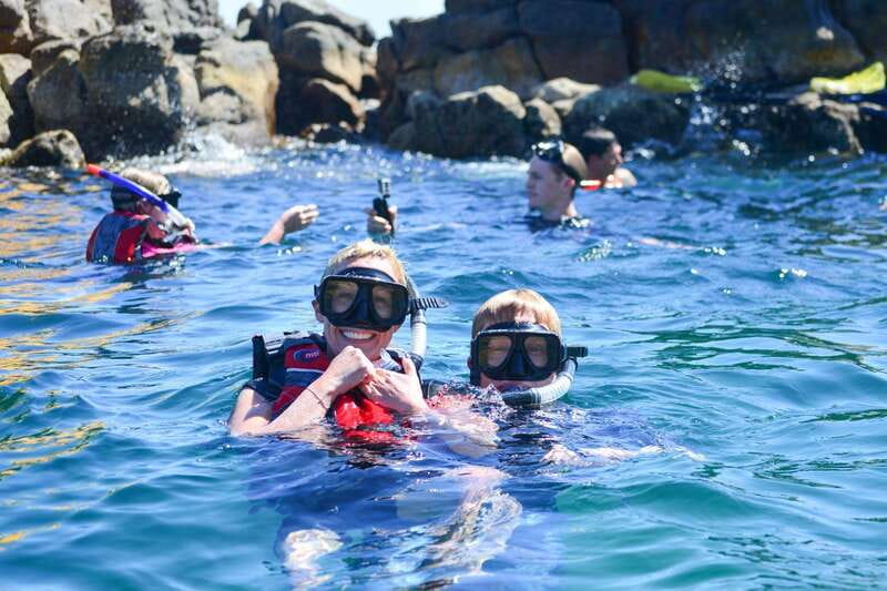 Cabo San Lucas: Guided Snorkeling Tour with Transportation - Chileno Bay: A Popular Spot with Rich Marine Diversity