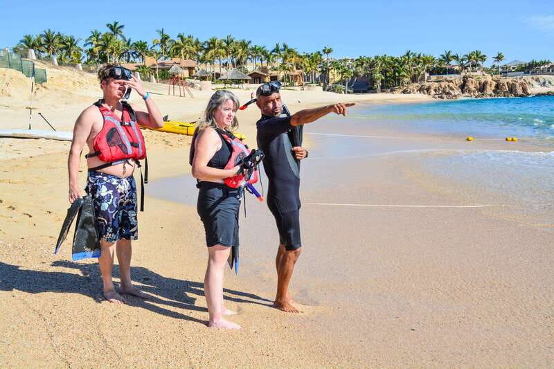 Cabo San Lucas: Guided Snorkeling Tour with Transportation - The Convenience of Round-Trip Hotel Transportation