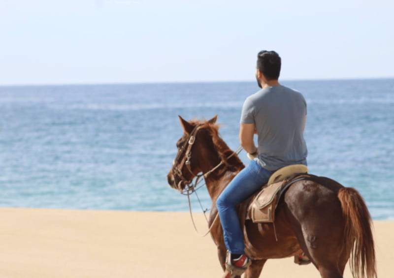Cabo San Lucas: Horseback Riding Adventure - Riding Through the Baja Desert and Coastal Paths