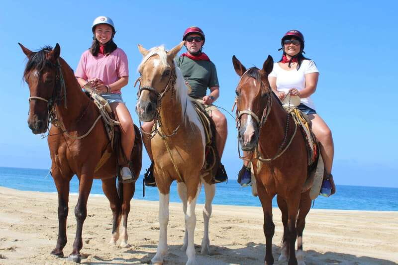 Cabo San Lucas: Horseback Riding Corredor Turistico - Key Points