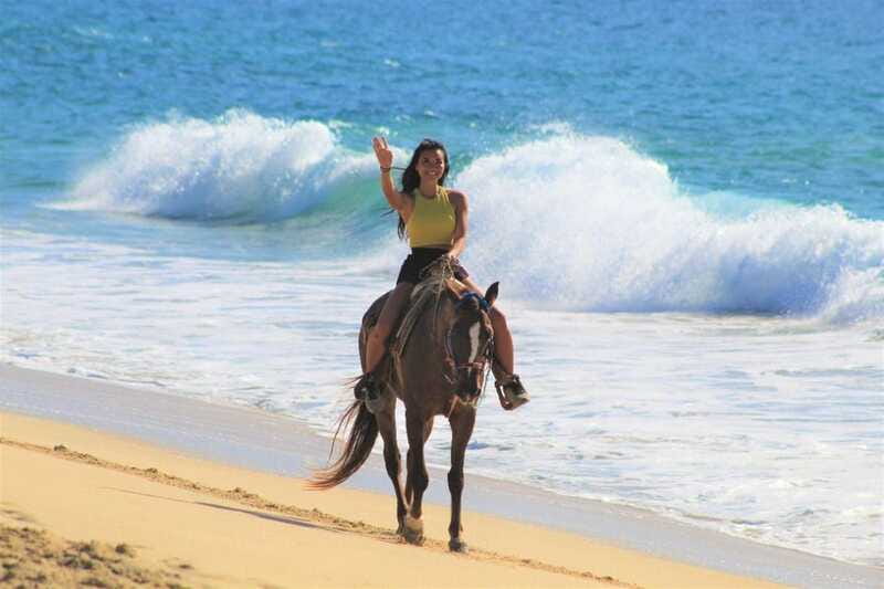 Cabo San Lucas: Horseback Riding Corredor Turistico - Practical Tips: Preparing for the Ride