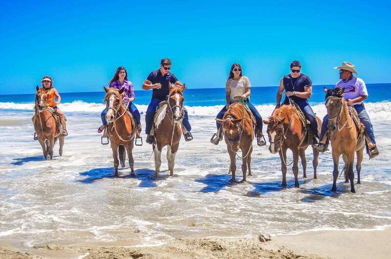 Cabo San Lucas: Horseback Riding Corredor Turistico - The Experience Provider and Ratings