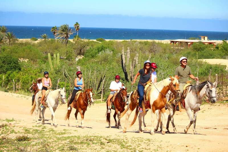 Cabo San Lucas: Horseback Riding in Migriño with Transfers - Experience the Coastal Beauty of Baja with Horseback Riding in Migriño