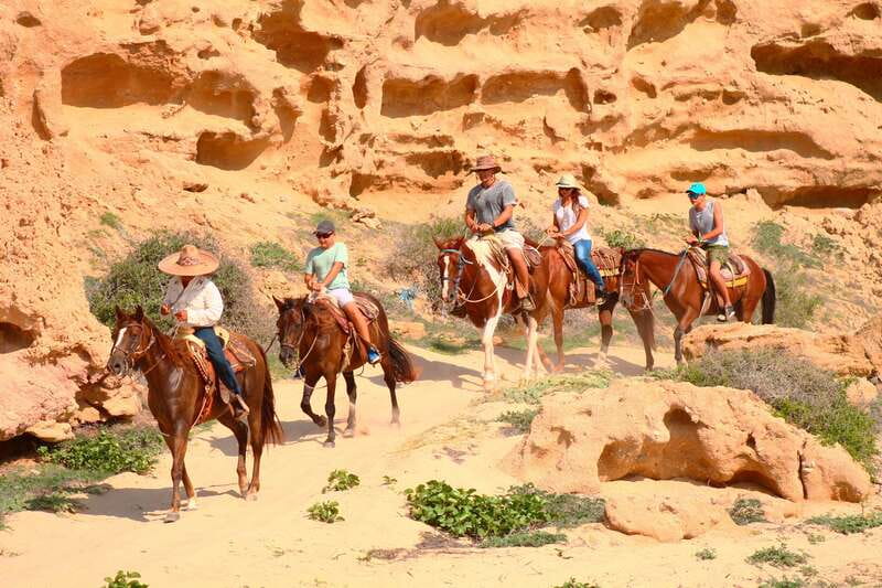 Cabo San Lucas: Horseback Riding in Migriño with Transfers - Experience Baja’s Flora, Fauna, and Whale Watching Opportunities