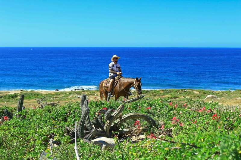 Cabo San Lucas: Horseback Riding in Migriño with Transfers - Cabo San Lucas Horseback Ride: A Relaxing, Scenic Baja Adventure