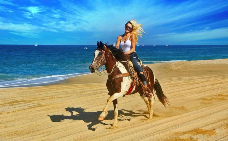 Cabo San Lucas: Horseback Riding On The Beach - Key Points