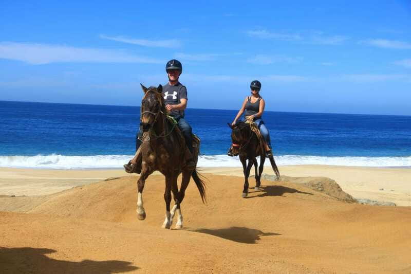 Cabo San Lucas: Horseback Riding On The Beach - The Cultural Touch: Tequila Tasting and Museum Visit