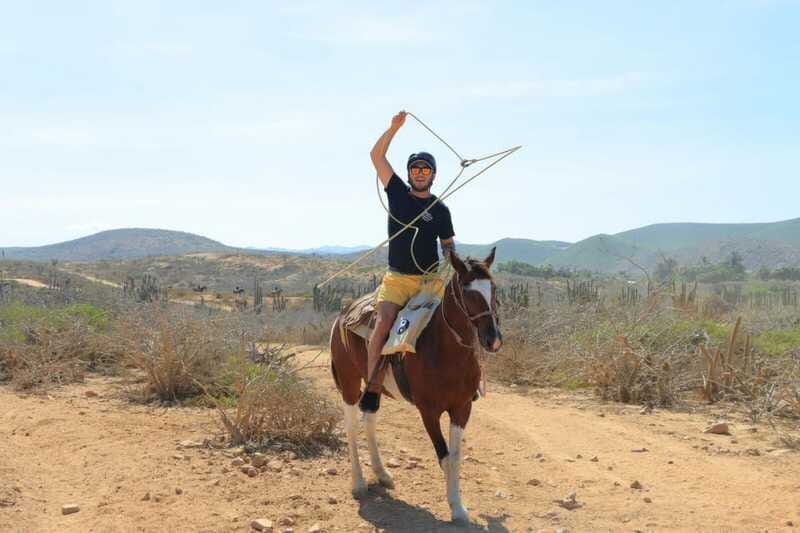 Cabo San Lucas: Horseback Riding On The Beach - The Pacing and Physical Demands