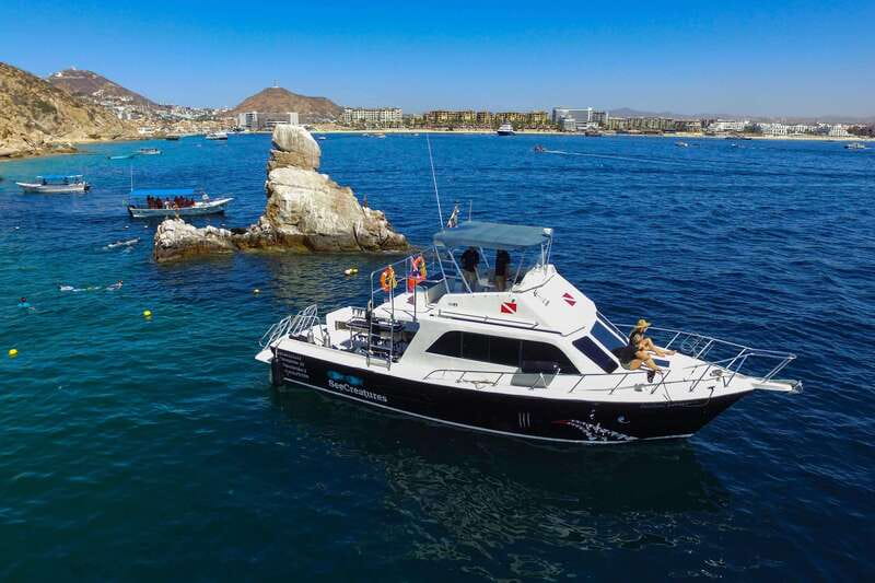 Cabo San Lucas: Local Dives (CSL Marine Park) and Corridor. - Explore the Best of Cabo San Lucas Marine Life for $130