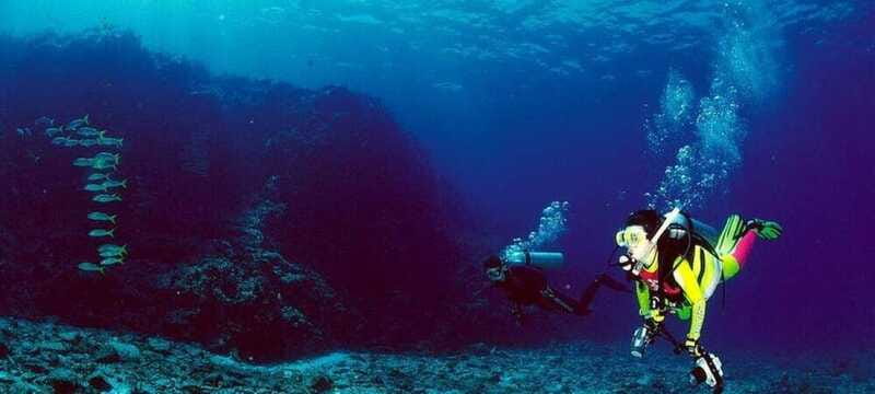 Cabo San Lucas: Marine Reserve Dive - Who Should Consider This Tour