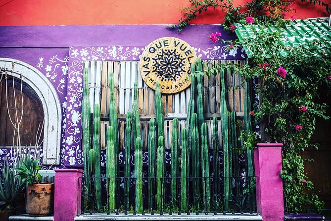 Cabo San Lucas Mezcal Tasting and Cocktail Class - Take Home Knowledge and Enjoy Mexican Cuisine