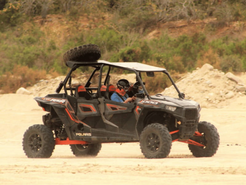 Cabo San Lucas: Migriño Beach & Desert UTV Adventure - Key Points