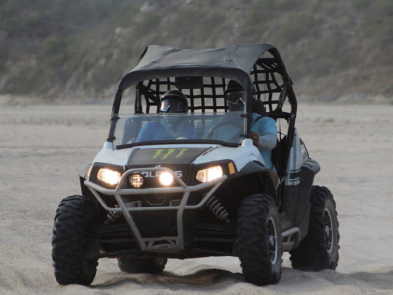Cabo San Lucas: Migriño Beach & Desert UTV Adventure - Wildlife Encounters and Nature Stops