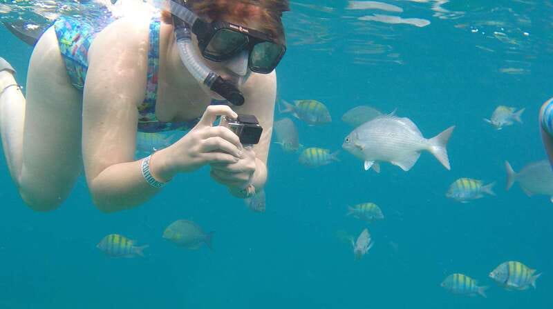 Cabo san Lucas: Paddle Boarding or Kayak and Snorkeling - Enjoying a Fresh Fruit Picnic on the Beach