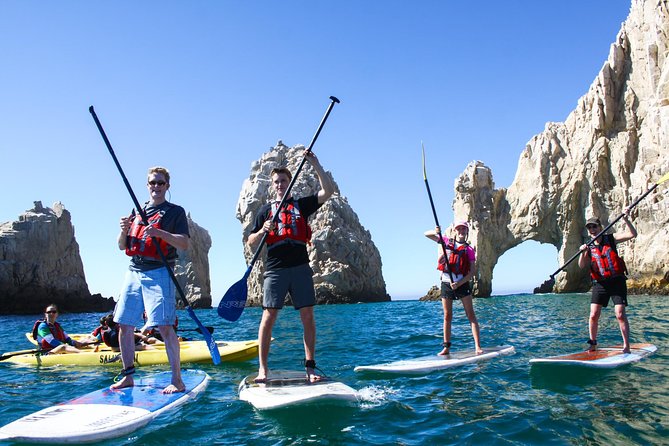 Cabo San Lucas Paddleboard and Snorkel at the Arch - Snorkeling at Pelican Rock: Close Encounters with Marine Life