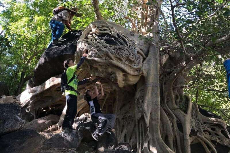 Cabo San Lucas: Pericu Native Road Hike - Logistics: Meeting Point, Group Size, and Duration