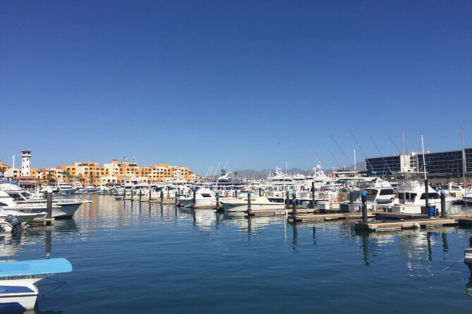 Cabo San Lucas Pirate Snorkel Tour - What Sets This Tour Apart from Others