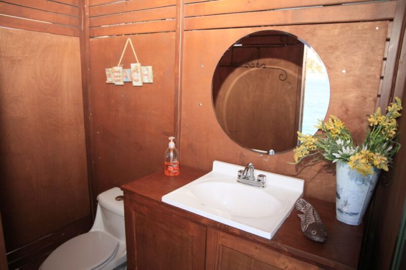 Cabo San Lucas: Private Catamaran Tour with Snorkeling - Semi-Private Beach Stop for Swimming and Water Activities