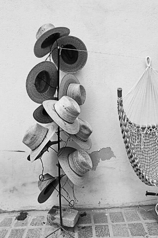 Cabo San Lucas: Private Jeep Tour to Todos Santos - Scenic Views of Sierra de la Laguna Mountains