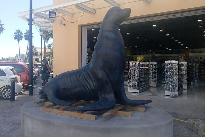 Cabo San Lucas Scavenger Hunt Interactive Walking Activity - Discovering Local Lore and Marine Life