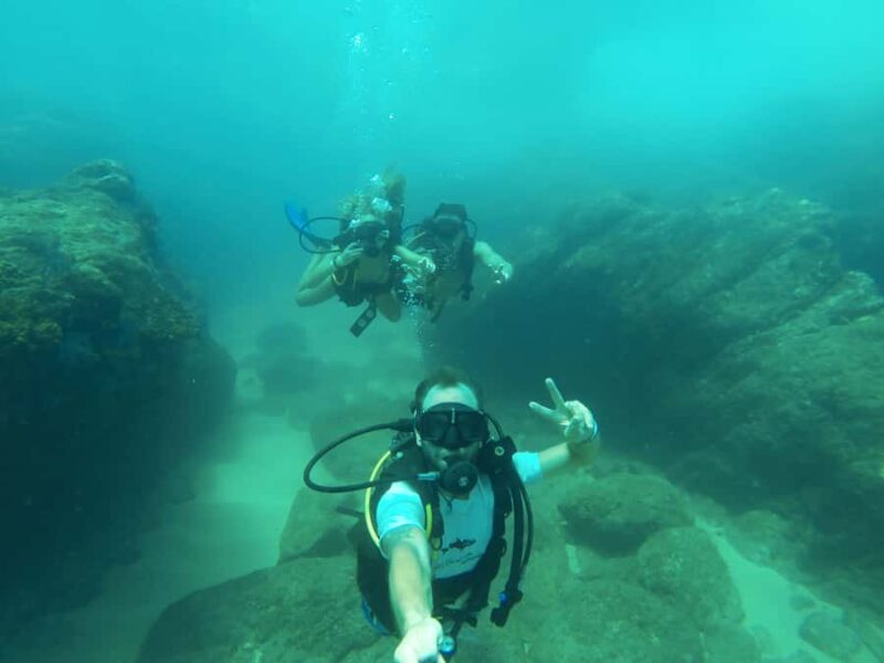 Cabo San Lucas: Scuba Diving in Cabo San Lucas Marine Park - Discover the Underwater World of Cabo San Lucas Marine Park