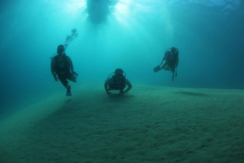 Cabo San Lucas: Scuba Diving in Cabo San Lucas Marine Park - The Pacing and Overall Experience
