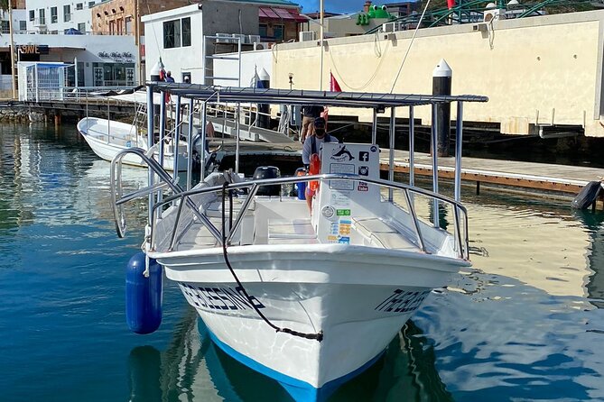 Cabo San Lucas Small-Group Whale Watching Tour: Hear the Whales - Whale Watching and Wildlife Encounters