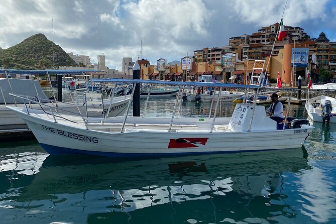 Cabo San Lucas Small-Group Whale Watching Tour: Hear the Whales - Pricing and Booking Flexibility