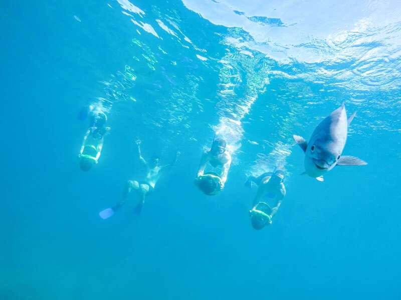 Cabo San Lucas: Snorkel, Paddle-board, and/or Kayak Tour - Key Points